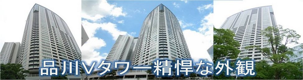 �i��V�^���[�b�O�ώʐ^